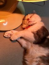 あったか～