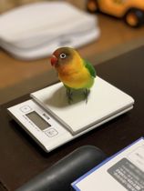 何gかな