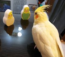 その件に関しましては…