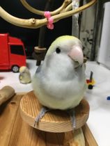 可愛く撮ってね！