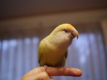 んー