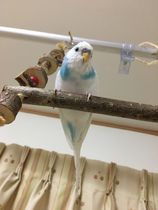 いい眺めだよ