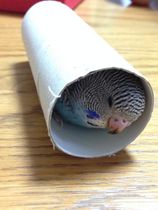 あったかいんだなここが
