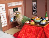 正月は無礼講