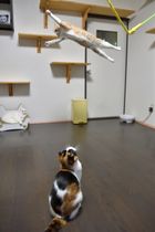 パパ すっげーっ！