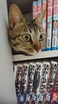 うちの子、本だったかな？