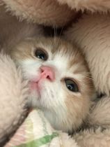 あったかい所見つけたよ
