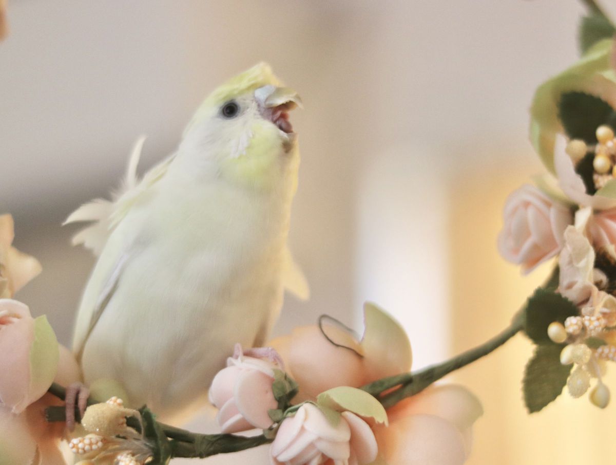 楽しいな〜♪