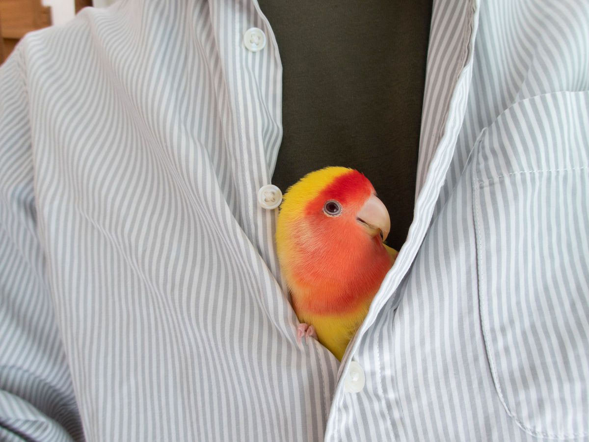 お気に入りの場所