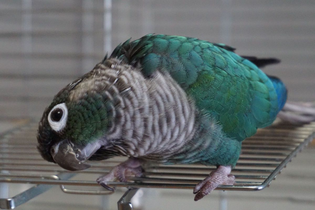 ん～？
