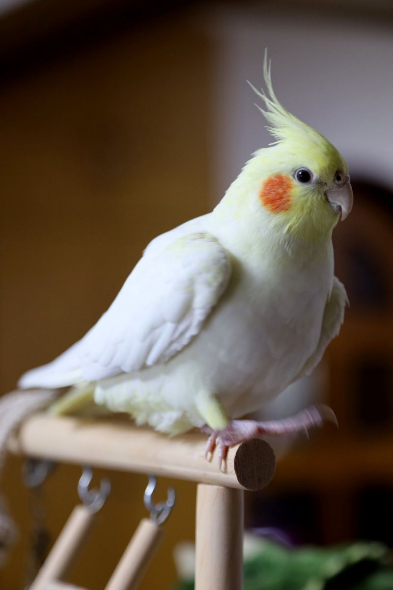 行き止まりですが！