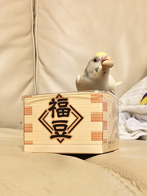 ふくはうち