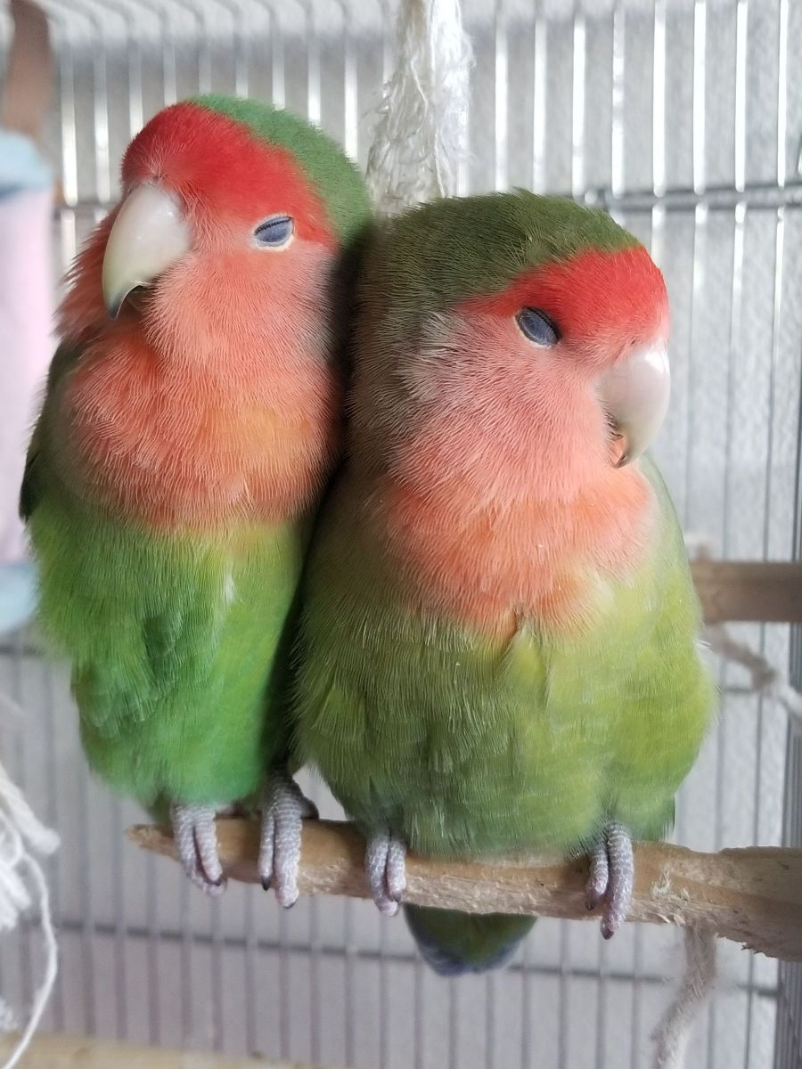 もう少しずれてくれませんか？