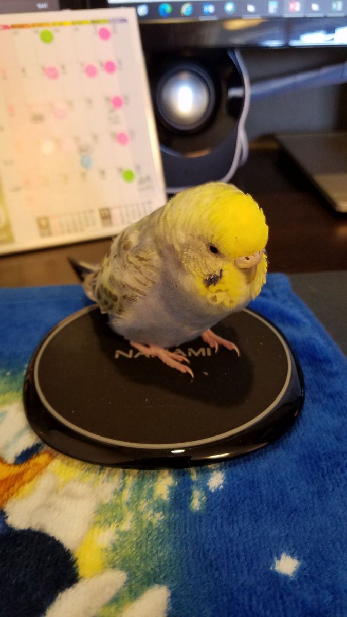 充電中。。。