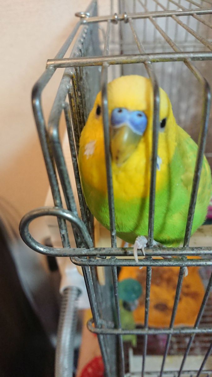 あの、、、出して下さい