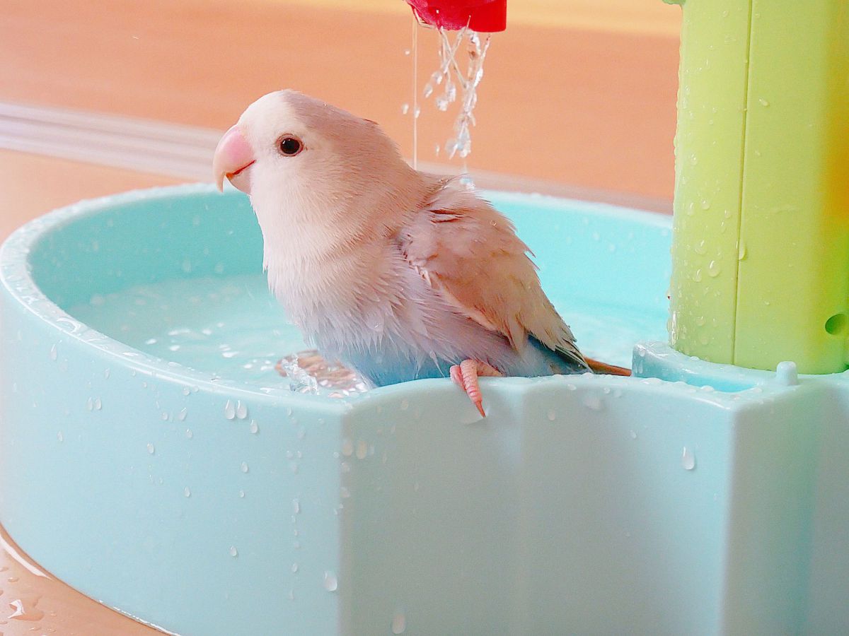 いい湯だな♪