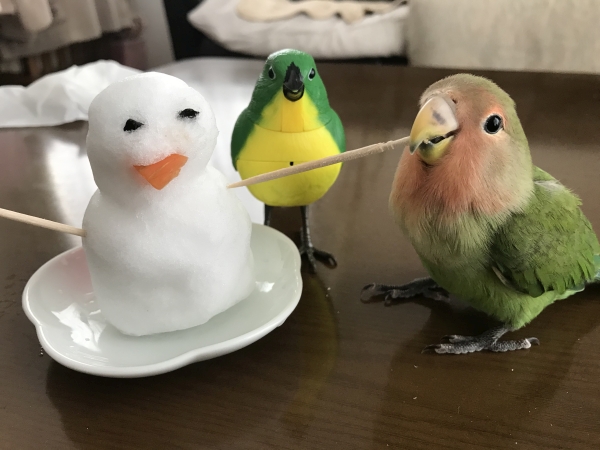 初めての雪だるま