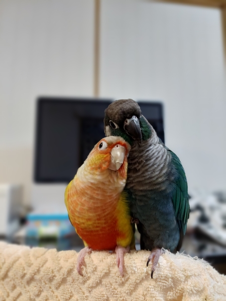 寄り添う2人