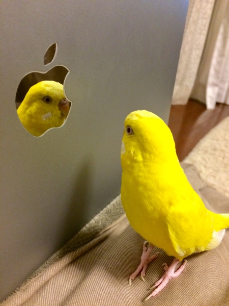 ぼくの鏡だよ