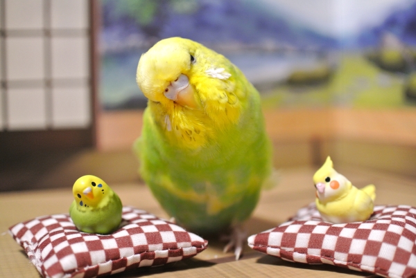 みんなで一緒にハイポーズ＾＾