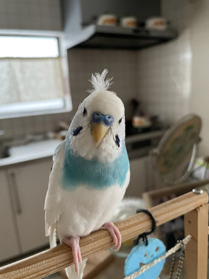 拡大写真を見る