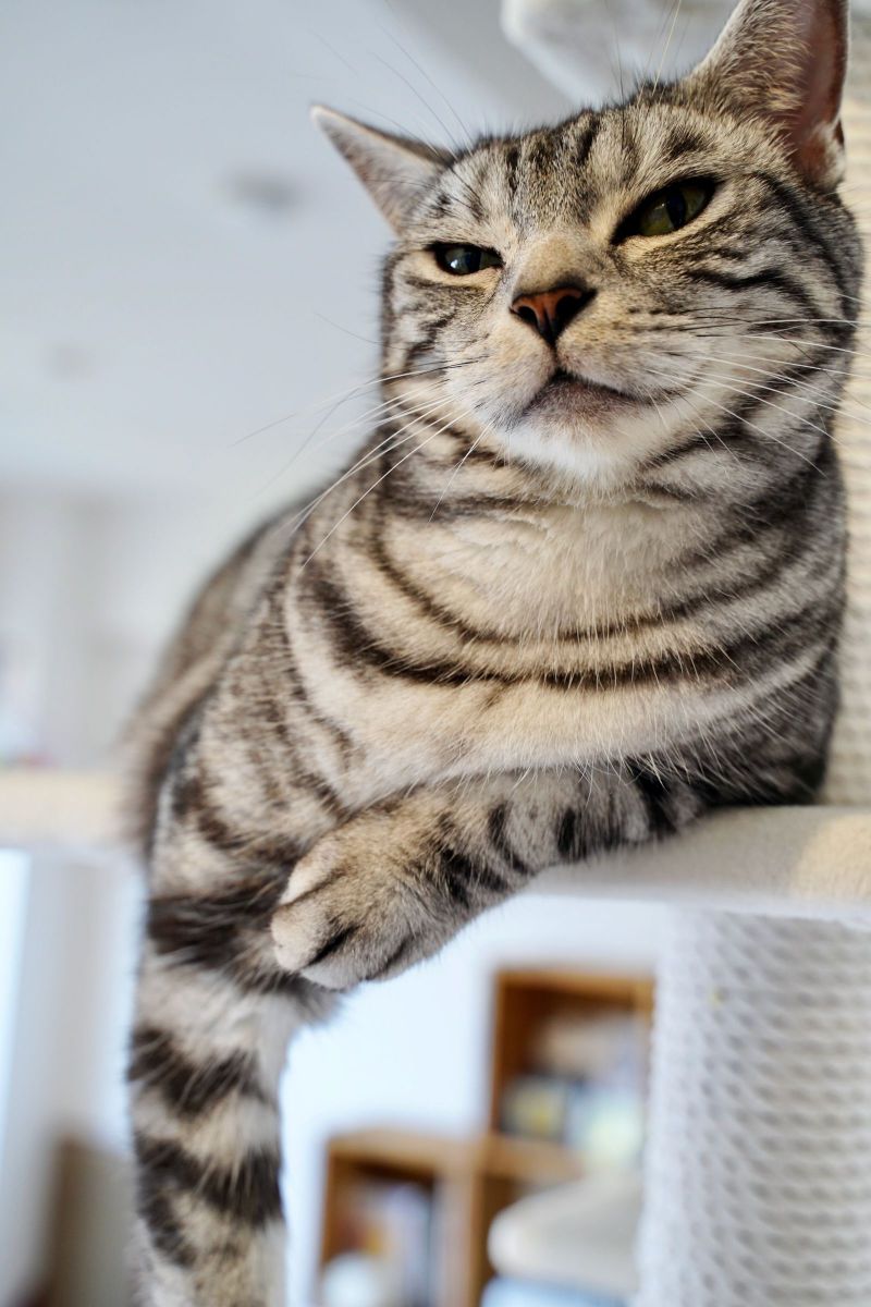 何だね？