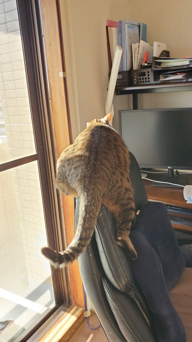 お気に入りの場所なのです