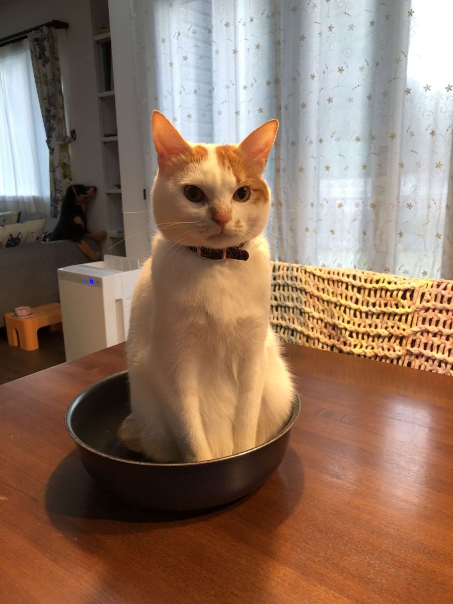 ...なにか？