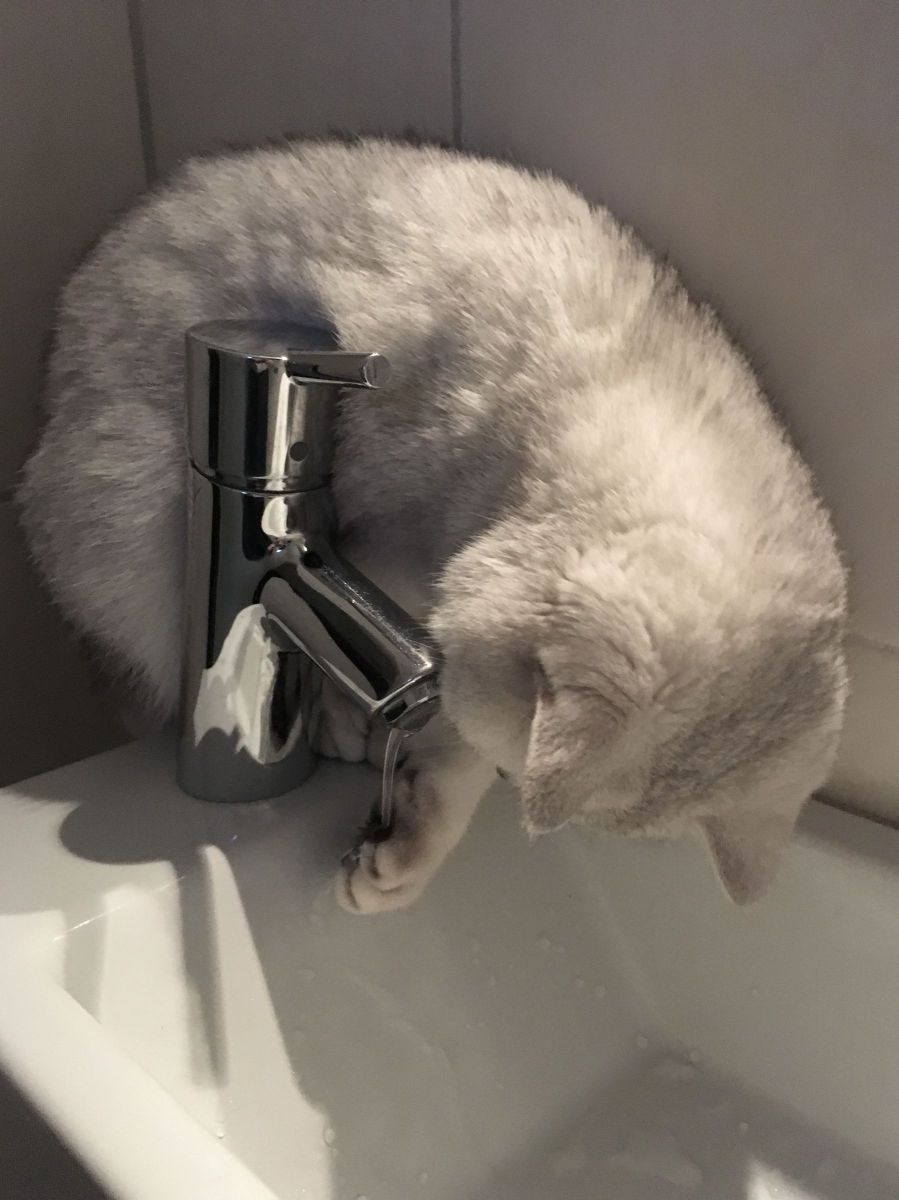 こまめに水分補給しましょう!.jpeg