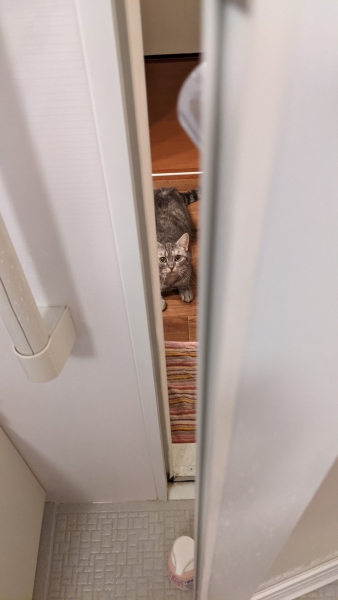 お風呂早く出てよ～
