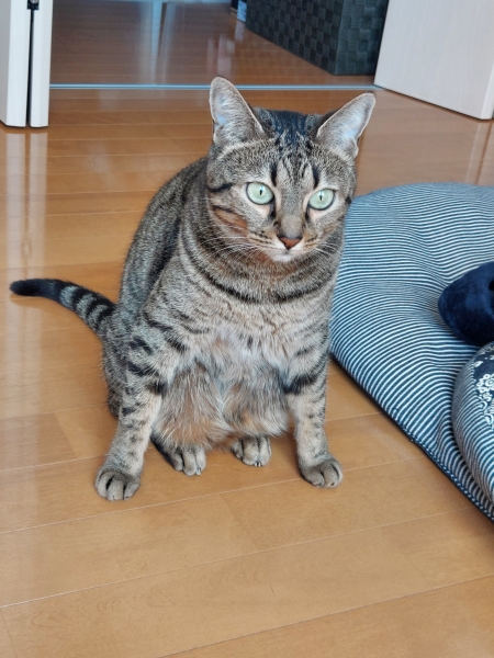なにか？