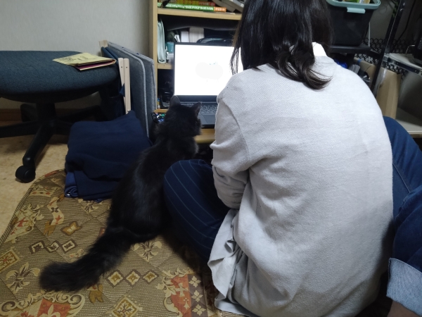 仕事は順調かね!?　　娘がパソコンを使っている横に座って、熱心に眺めている様子を撮影しました。