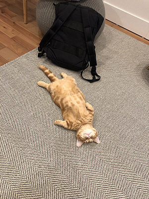 拡大写真を見る