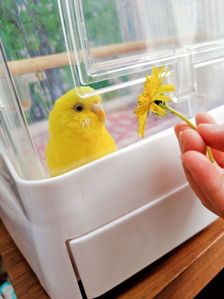なかま