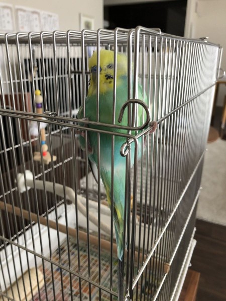 すみっこでお昼寝