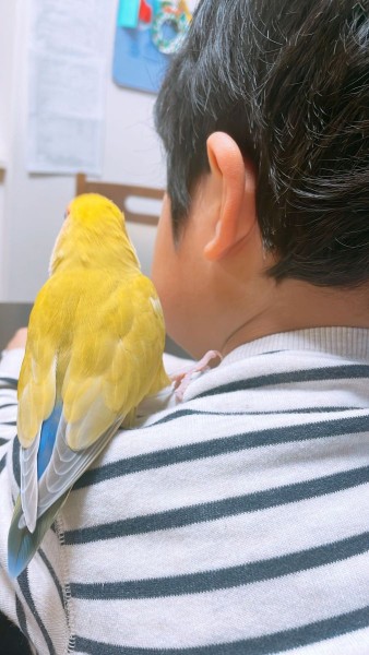 相棒