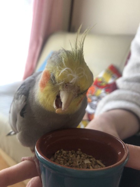 ムニャムニャ…