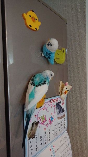 ばれてない、ばれてない…。
