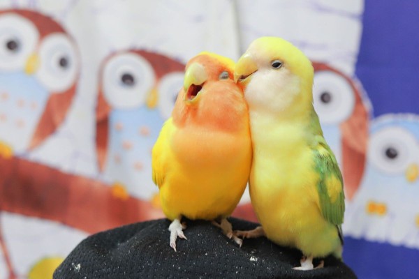 私の宝物