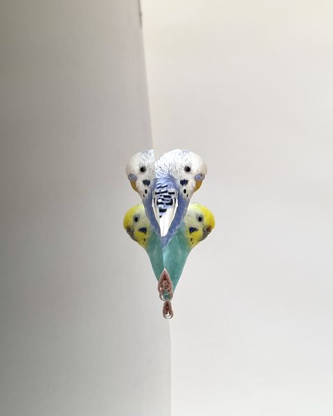 インコハート