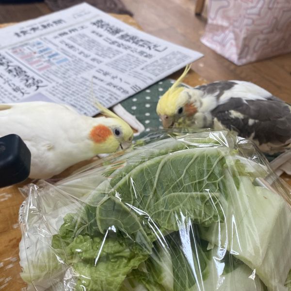 一緒にイタズラ