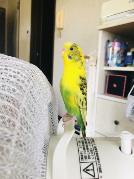 背筋ピン!