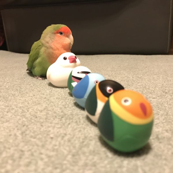 順番待ち