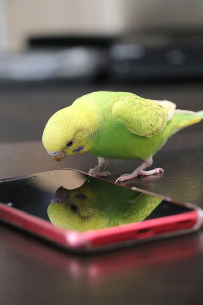 これだぁれ〜?