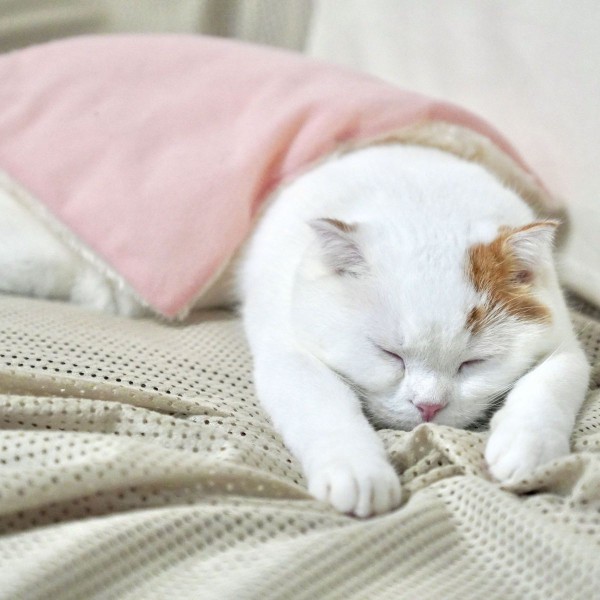 すやすや。。