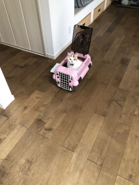 早く行こう!