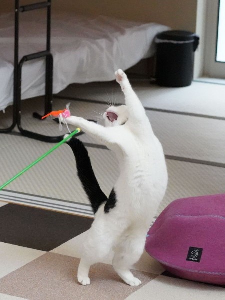 ナイスキャッチ!