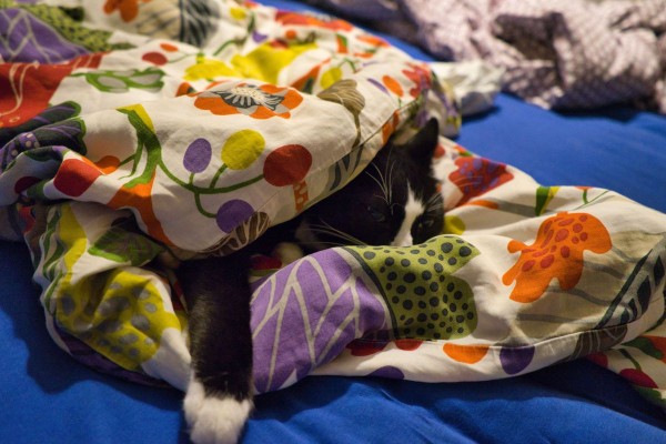 お布団でかくれんぼしてたら、眠くなっちゃう
