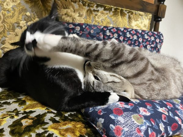 会心の一撃