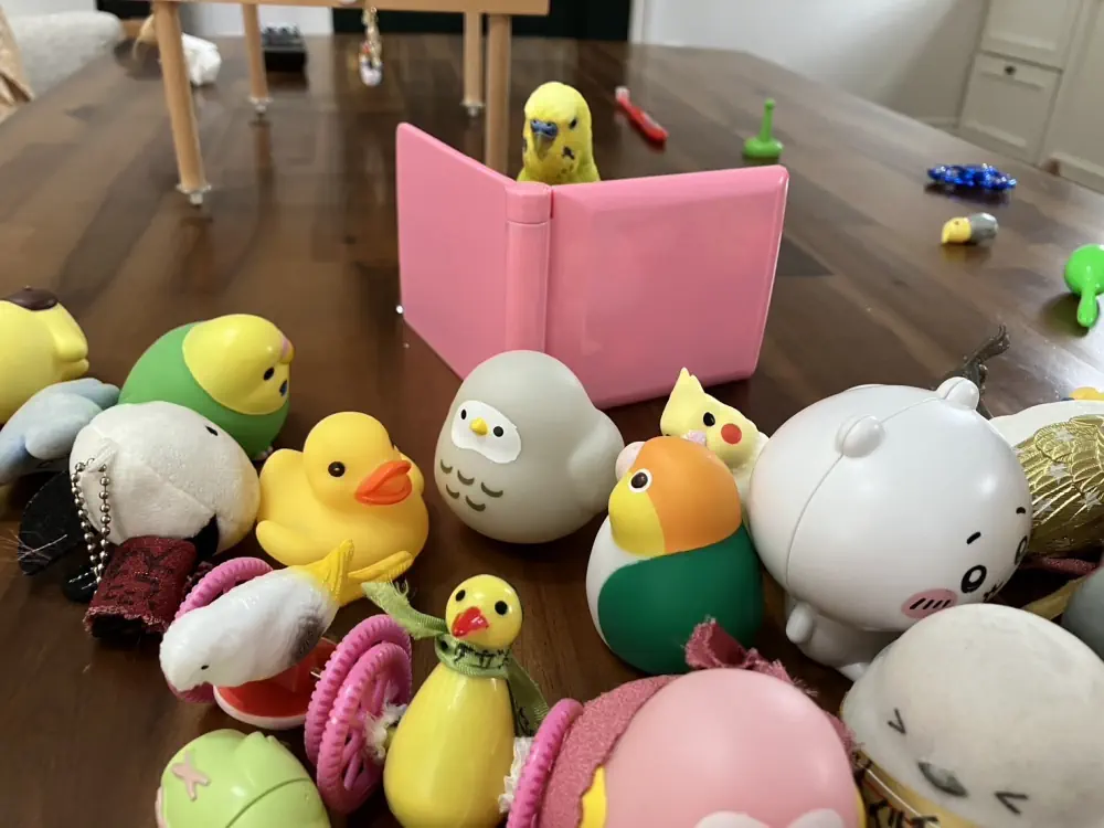 みんな何してるの？？